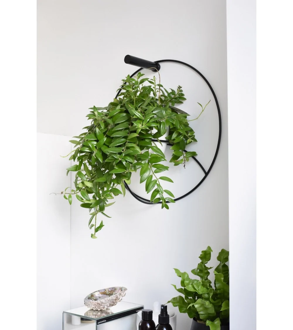 Pflanzenhalter JUNGLE KLIM