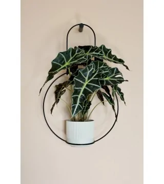 JUNGLE RAMI Plant hanger