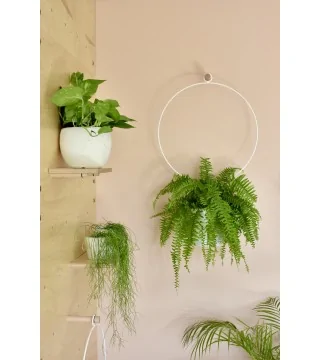 JUNGLE OLEN Plant hanger