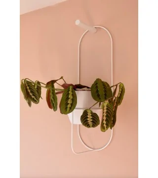 Plant holder JUNGLE NEO