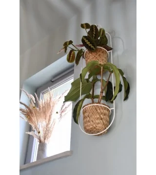 JUNGLE DOBLE Plant hanger