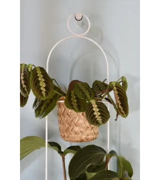 Porte-plante JUNGLE DOBLE