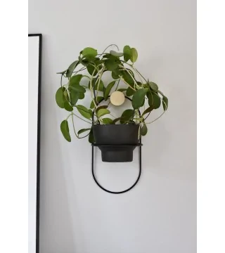 Porte-plante JUNGLE MINI