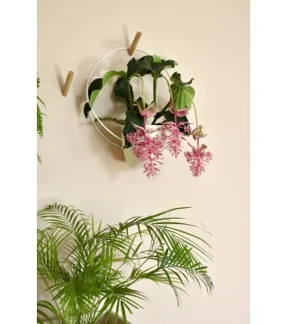 Porte-plante JUNGLE FLOR