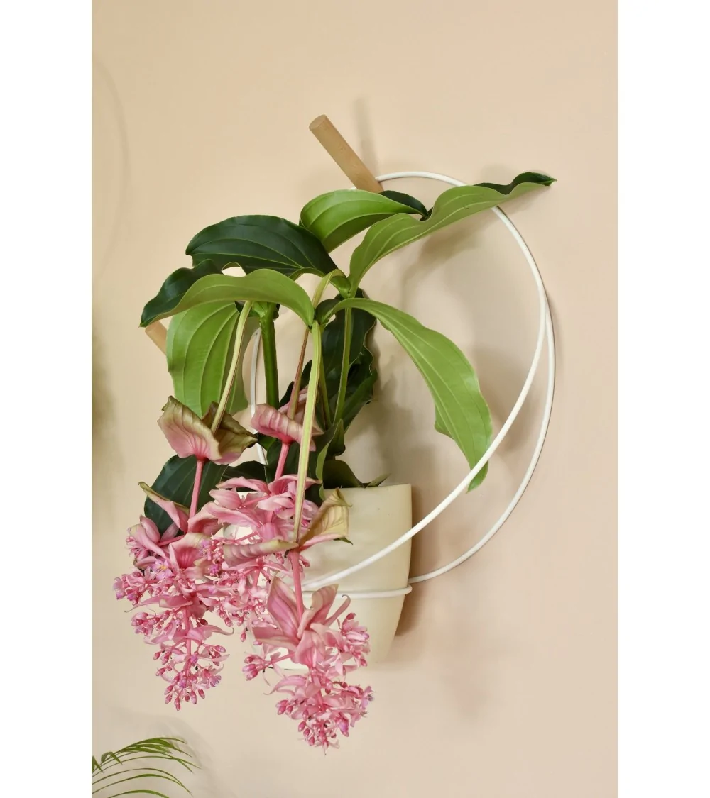 Porte-plante JUNGLE FLOR