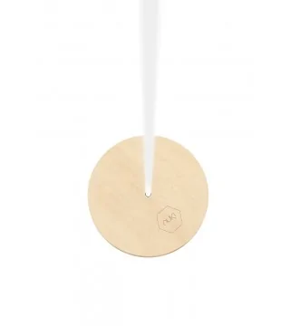 Kids swing Circle natural wood by Nuki with a white rope